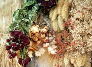 OVE TRI STVARI ODMAH IZBACITE IZ KUĆE: Prema feng šuiju privlače nesreću i negativnu energiju!