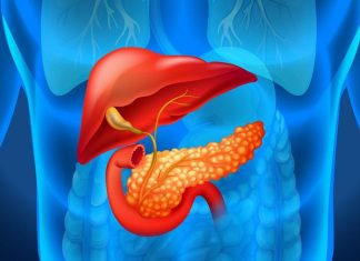 3 zlatna pravila za zdravlje pankreasa nakon 55. godine: Ovu hranu ni u ludilu ne bi trebalo jesti