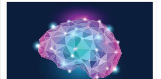 Svetski neurohirurg otkrio kako da vam mozak radi kao da imate 25: Ključ je u ova 3 saveta