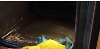 NE TREBATE SKIDATI STAKLO: Evo kako ja čistim unutrašnje staklo rerne, svi komplikuju, a TRIK JE JAKO JEDNOSTAVAN (VIDEO)