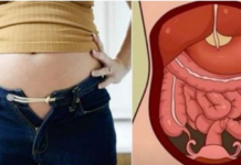 Mnogi misle da su debeli a zapravo griješe! Evo zbog čega vam je stomak velik i KAKO SE RIJEŠITI TOGA…