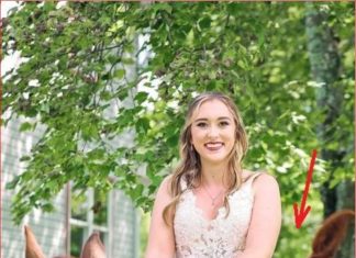 OVA SLIKA JE NAJVEĆI HIT, LJUDI PLAČU OD SMIJEHA: Kad vidite donji dio slike NEĆE VAM BITI DOBRO