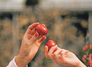 Ovo cveće obavezno treba uneti u kuću pre Vaskrsa: Veruje se da donosi sreću i napredak
