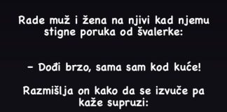 VIC DANA……Rade Mujo I Fata Na Njivi Kad Stigne Muji Poruka Od Švalerke…..