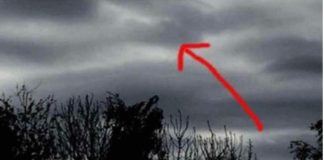 Čovjek Je Fotografsao Tamne 0blake, Kada Je Bolje Pogledao Sliku Trnci Su PREKRILI Njegovo Tijelo