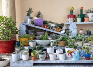 Ako imate ove predmete u kući, ODMAH IH BACITE! Prema feng šuiju DONOSE NESREĆU i negativnu energiju u vaš dom