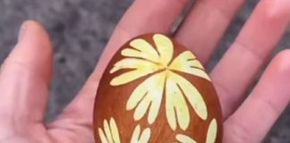 Starinski način da vam se TRAVKE jasno preslikaju na uskršnja jaja, nema uopšte mrlja – 3 laka koraka daće vam savršene šare (FOTO/VIDEO)