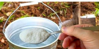 1 kašika po kanti vode i zemlja je kao nova: ZALIJTE BAŠTU NJOME ZA BOGATU ŽETVU SVEGA!