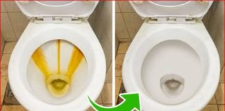 Odličan KUĆNI TRIK za uklanjanje žutih mrlja i kamenca u toaletu bez hemikalija: Testirano, djeluje odmah!