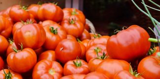 Lako ćete prepoznati paradajz pun otrova: Dovoljno je da obratite pažnju na ovaj deo