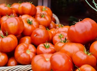 Lako ćete prepoznati paradajz pun otrova: Dovoljno je da obratite pažnju na ovaj deo