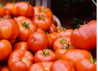 Lako ćete prepoznati paradajz pun otrova: Dovoljno je da obratite pažnju na ovaj deo