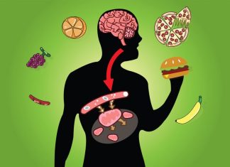 KAKO SMRŠATI POSLIJE 50. GODINE? Uz 3 ključna pravila uvijek ćemo biti VITKE, a evo koje NAMIRNICE treba IZBJEGAVATI