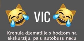 VIC DANA: HODŽA U AUTOBUSU