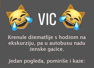 VIC DANA: HODŽA U AUTOBUSU