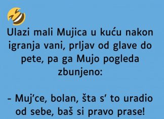 VIC DANA: Mali Mujica