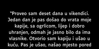 Proveo sam deset dana u vikendici…