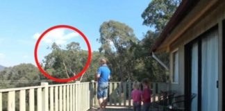 OTAC ILIJA UHVAĆEN SA ĆERKAMA NA BALKONU, MAJKA ODMAH IZLETJELA: Vrištali su dok su to radili (VIDEO)