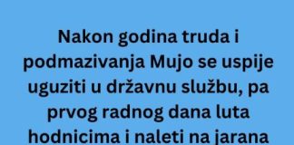 VIC DANA: Mujo u državnoj firmi