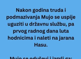 VIC DANA: Mujo u državnoj firmi