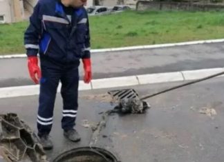 IZVUKLI “KAPITALCA” OD DVA METRA IZ KANALIZACIJE: Radnici ŠOKIRANI prizorom u naselju Vojvode Vlahovića! (FOTO)