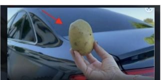 Imati 1 krompir u autu može vam spasiti život i niko vam to neće reći!