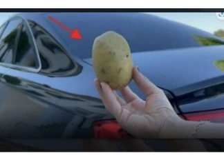 Imati 1 krompir u autu može vam spasiti život i niko vam to neće reći!