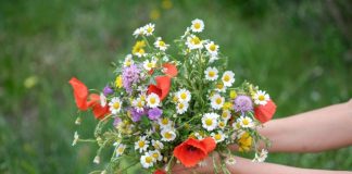 Sutra je VIDOVDAN – praznik koji otvara oči: Ujutru obavezno obratite pažnju na ovo, jer se smatra da Bog svakom od nas šalje poruku