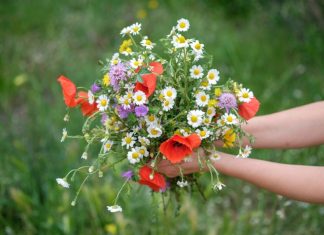 Sutra je VIDOVDAN – praznik koji otvara oči: Ujutru obavezno obratite pažnju na ovo, jer se smatra da Bog svakom od nas šalje poruku