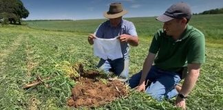 Ljudi širom sveta donji veš zakopavaju u bašte, a iza ovoga se krije savršeno dobar razlog