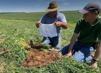 Ljudi širom sveta donji veš zakopavaju u bašte, a iza ovoga se krije savršeno dobar razlog