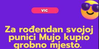 VIC DANA: Mujo i svekrva
