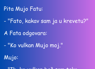 VIC DANA: Fata, Mujo i vulkan