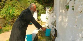 MONAH OTKRIO PRIRODNI LIJEK ZA SVE BOLESTI: Medicina provjerila i ostala u čudu…