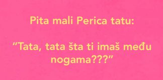 VIC: Perica pita tatu