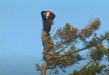 Ova žena se 1998. godine popela na drvo i odlučila da provede 2 godine živeći na njemu: Ceo svet je pratio šta se dešava, a onda šok