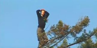 Ova žena se 1998. godine popela na drvo i odlučila da provede 2 godine živeći na njemu: Ceo svet je pratio šta se dešava, a onda šok