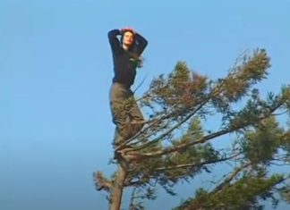 Ova žena se 1998. godine popela na drvo i odlučila da provede 2 godine živeći na njemu: Ceo svet je pratio šta se dešava, a onda šok