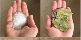 MOJA BAKA JE UVIJEK STAVLJALA LOVOROV LIST U SO 🧂🍃 Kad sam saznala zašto, ostala sam bez riječi – nikad nisam vidjela ništa slično