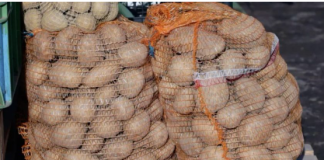 Deda je to uvijek bacao u kesu sa krompirom i izdržali su do sljedeće berbe: Ni jedan nije proklijao! (Foto)