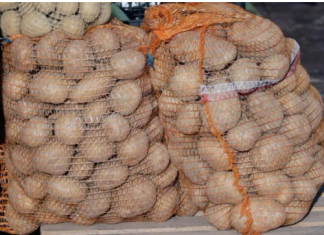 Deda je to uvijek bacao u kesu sa krompirom i izdržali su do sljedeće berbe: Ni jedan nije proklijao! (Foto)