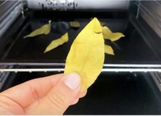 Svi bi trebali biti svjesni efekta koji se može postići jednostavnim stavljanjem običnog lovorovog lista u rernu i ostavljanjem da se peče 20 minuta.