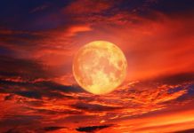 Stiže pun Mesec, sledeći znaci će osetiti njegov najjači uticaj, imaju priliku da od života naprave bajku: Obavezno ovo uradite 11. juna da biste privukli sreću