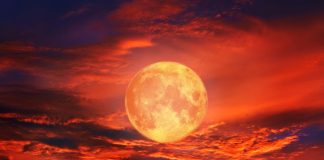 Stiže pun Mesec, sledeći znaci će osetiti njegov najjači uticaj, imaju priliku da od života naprave bajku: Obavezno ovo uradite 11. juna da biste privukli sreću