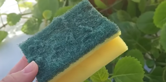 Nikada ne bacajte stari sunđer: Kada vidite čemu služi čuvat ćete ga kao oči u glavi!!TRIK KOJI JE OBIŠAO CIJELI SVIJET!!!!