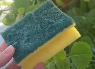 Nikada ne bacajte stari sunđer: Kada vidite čemu služi čuvat ćete ga kao oči u glavi!!TRIK KOJI JE OBIŠAO CIJELI SVIJET!!!!