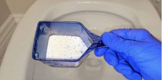 Sipajte u toalet i sačekajte 15 minuta: Domaći trik koji bi SVI trebali znati!