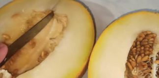 DOKTORI TVRDE DA OVE 2 NAMIRNICE NIKADA NE TREBA UZIMATI SA DINJOM: Napraviće karambol u stomaku, a tek OVO