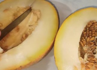 DOKTORI TVRDE DA OVE 2 NAMIRNICE NIKADA NE TREBA UZIMATI SA DINJOM: Napraviće karambol u stomaku, a tek OVO