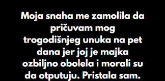“Moja snaha me zamolila da pričuvam mog trogodišnjeg unuka na pet dana jer joj je majka ozbiljno obolela i morali su da otputuju…”